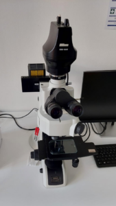 Le microscope ECLIPSE LV150NA de Nikon, configuré avec un éclairage fluorescent avancé et fourni avec deux filtres spécialisés pour l’excitation bleu-violet et bleu.