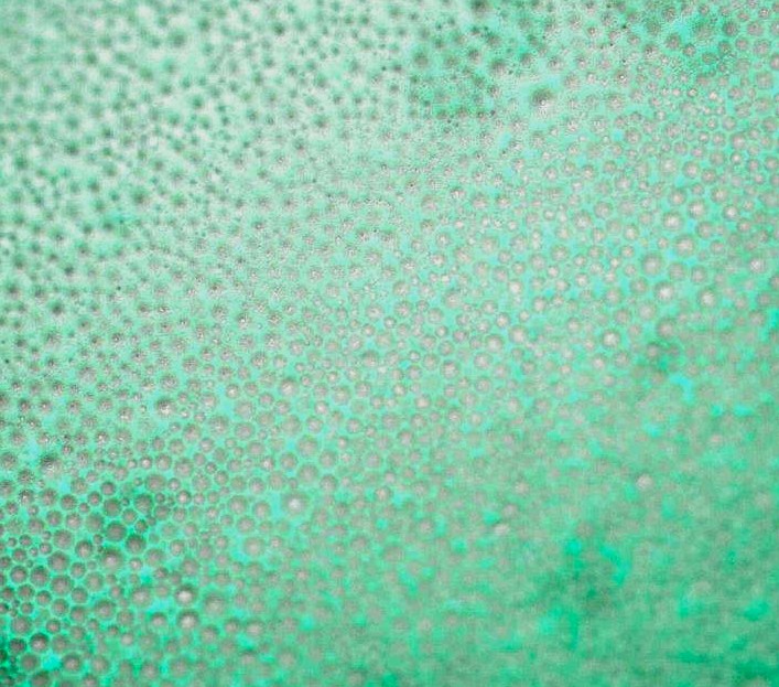 Cette image est une superposition des trois canaux (trois longueurs d’onde lumineuses) : Le gris correspond à l’image en champ clair de la surface de l’échantillon (lumière blanche, longueur d’onde entre 450 et 700 nm environ). On utilise un appareil photo noir et blanc. L’image est alors uniquement grise. Les inclusions de bitume sont toutefois clairement visibles sous forme de sphères brillantes entourées d’agrégats fluorescents de manière homogène. Il s’agit par conséquent de la distribution idéale.La couleur vert-bleu de l’agrégat est obtenue par superposition d’images bicolores. La première image en couleur montre la fluorescence verte (filtre de fluorescence FITC : lumière d’excitation d’environ 475 nm [bleu], lumière émise d’environ 520 nm [vert]), la deuxième image en couleur montre la fluorescence bleue (filtre de fluorescence AQUA : lumière d’excitation bleu-violet, environ 420 nm, lumière émise d’environ 465 nm [bleu]). Zoom 100x.